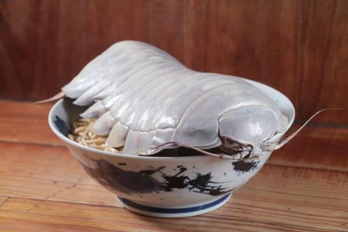 Đổ xô xếp hàng để ăn thử tô mì ramen bọ biển khổng lồ ở Đài Bắc