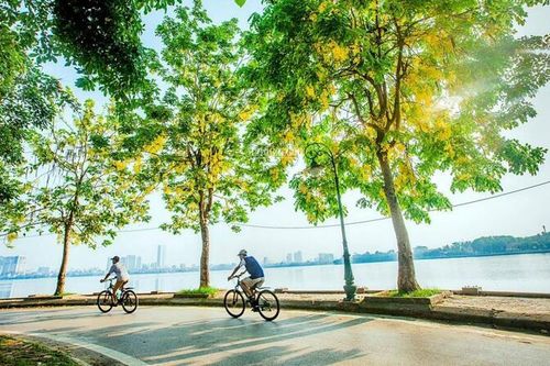 Thiết kế đường dành cho xe đạp trong đô thị