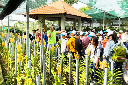 Phát huy thành quả xây dựng nông thôn mới