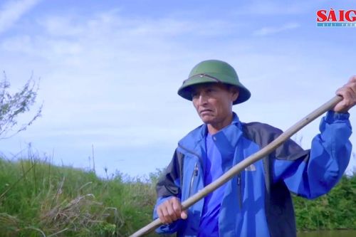 Hạc Hải xanh
