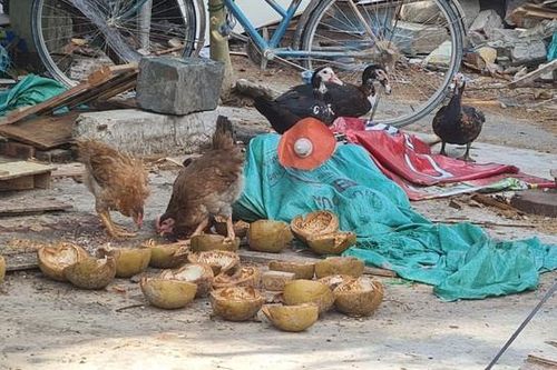 Đà Nẵng: Ngỡ ngàng cảnh nhếch nhác quanh khu danh thắng Ngũ Hành Sơn