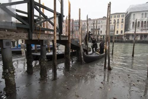 Sống ở Venice trơ đáy