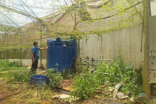 'Lộ sáng' sai phạm Dự án công nghệ sinh học ở Đồng Nai