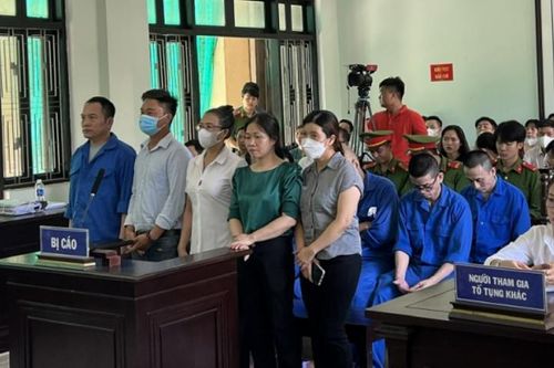 Chủ tịch quỹ tín dụng ở Huế lãnh 20 năm tù