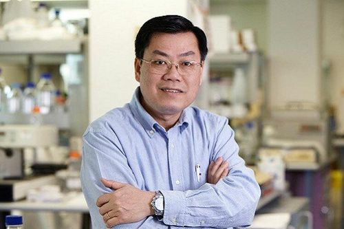 Giáo sư Nguyễn Văn Tuấn: Đưa môn Văn vào xét tuyển ngành y, chẳng có gì phải băn khoăn
