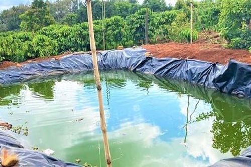 Lao xuống ao cứu cháu, hai bà cháu tử vong