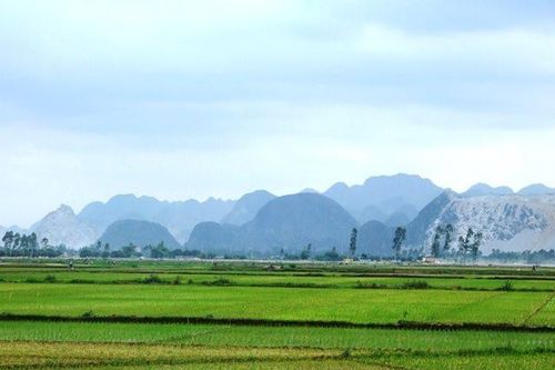 Tây Ninh phấn đấu năm 2030 phát triển 20 vùng nông nghiệp UDCNC