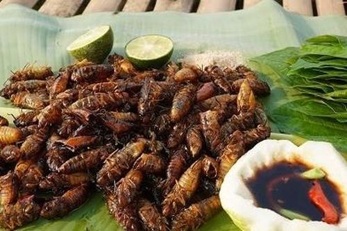 Sốc nặng sau khi ăn món thường có vào mùa hè