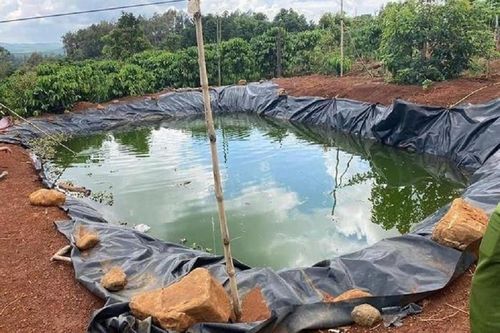 Nhảy xuống ao cứu cháu, cả hai bà cháu đuối nước thương tâm