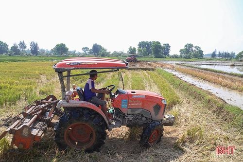 Hà Tĩnh chủ động sản xuất, đảm bảo vụ hè thu 'ăn chắc'