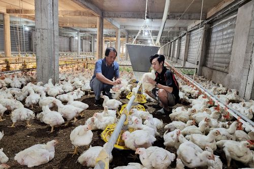 Gặp gỡ giám đốc hợp tác xã đi đầu trong chăn nuôi công nghệ cao