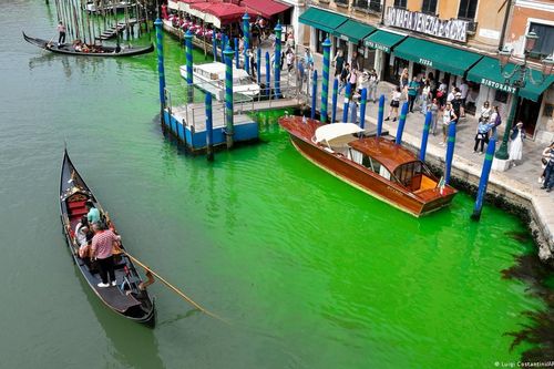 Vùng nước xanh huỳnh quang kỳ lạ xuất hiện trên kênh đào Venice