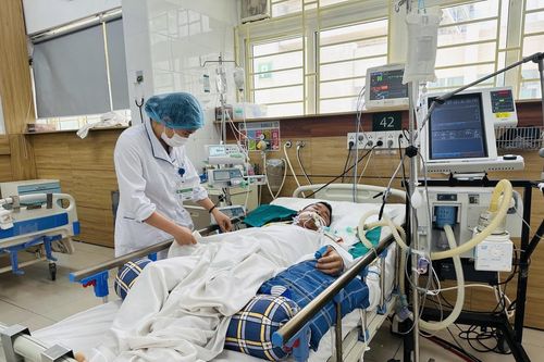3 người đàn ông suy đa tạng, nguy kịch sau khi ăn sâu ban miêu đen