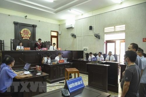 Điện Biên: 150 tháng tù cho các bị cáo phá rừng thông trên đèo Pha Đin
