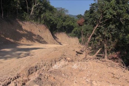 Quảng Ngãi: Kiểm tra, làm rõ tổ chức, cá nhân phá rừng KfW6 để mở đường