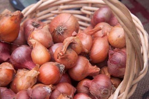 Cách bảo quản hành tím khô được lâu, để cả năm cũng không thối mềm