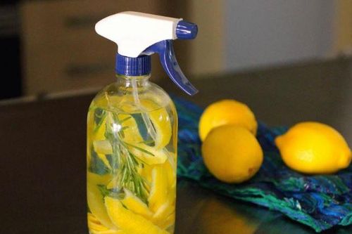 Mẹo diệt bọ chét đơn giản lại hiệu quả từ chanh