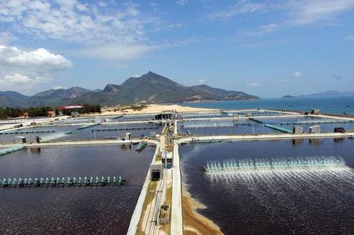 Đắc Lộc: thương hiệu mạnh trong ngành thủy sản