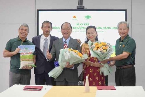 Lộc Trời nhận chuyển nhượng quyền giống lúa Nàng Hoa 9