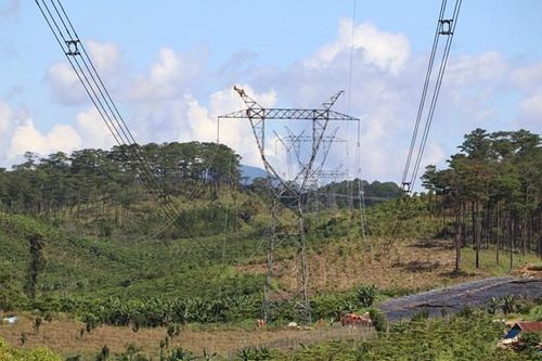PTC3 sẵn sàng ứng phó kịp thời các hiện tượng bất thường của thời tiết