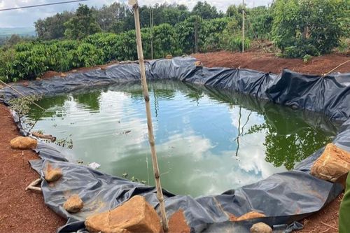 Lao xuống ao nước cứu cháu, 2 bà cháu cùng tử vong thương tâm