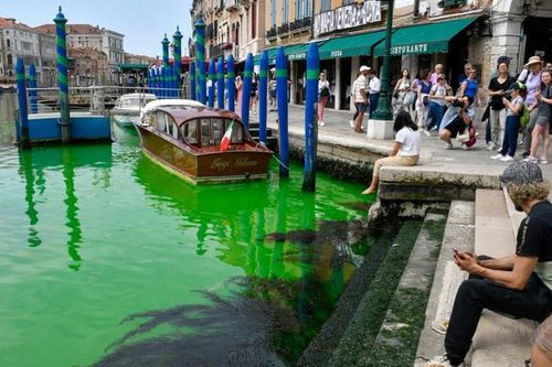 Nước tại kênh đào Venice thơ mộng đột ngột đổi sang màu xanh lục, nguyên nhân là gì?
