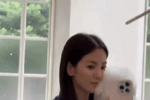Song Hye Kyo khoe khoảnh khắc nhí nhảnh bên cún cưng