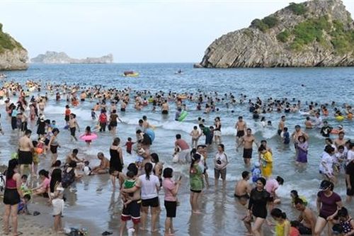 Cát Bà đông đúc dù chưa phải cao điểm du lịch hè
