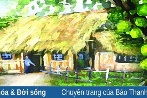 Hương mít thơm vườn mẹ