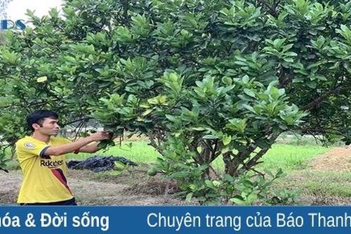 Góp phần thúc đẩy phát triển kinh tế tập thể, kinh tế hộ gia đình