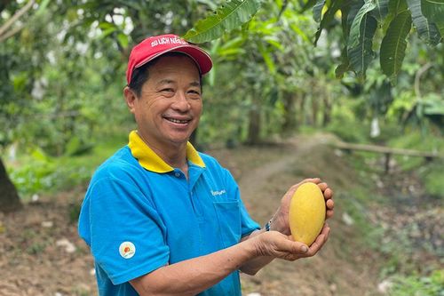 Hội thi trái xoài ngon - sân chơi hun đúc tinh thần tự hào nông sản của nhà vườn