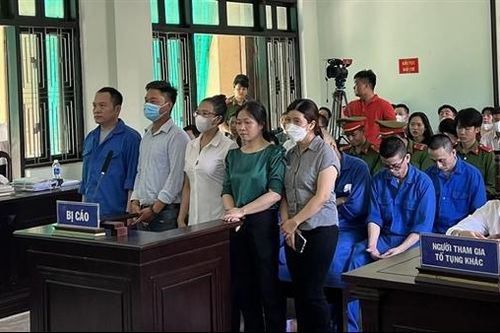 Tăng nặng mức án đối với nguyên Chủ tịch HĐQT Quỹ Tín dụng Tây Lộc