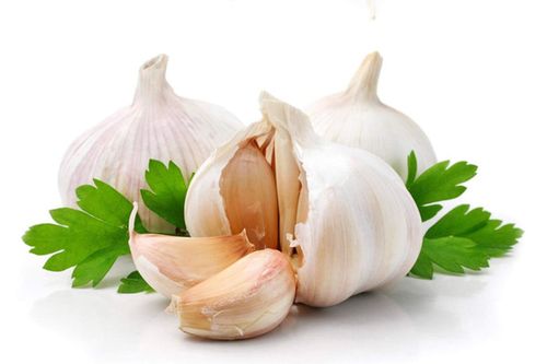 Tỏi - gia vị quen thuộc, thuốc quý trong nhà: Bạn biết cách dùng chưa?