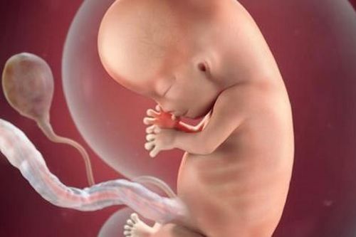 Nguồn gốc thú vị của nước ối và tầm quan trọng của chất lỏng đặc biệt này khi mang thai