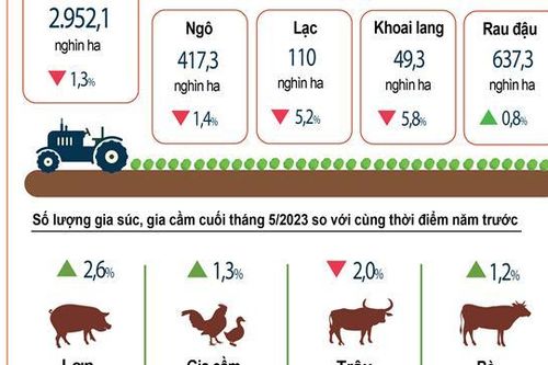 INFOGRAPHIC: Tình hình kinh tế - xã hội tháng 5 và 5 tháng đầu năm 2023