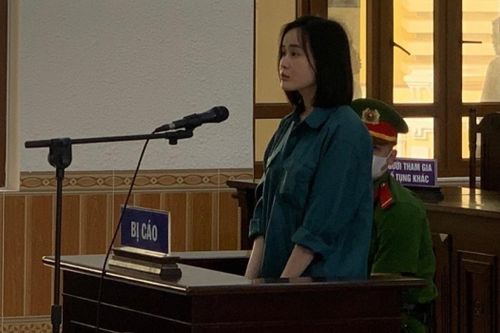 Dự kiến xét xử Ninh Thị Vân Anh vào ngày 9/6