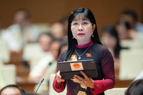 Đại biểu Quốc hội đề nghị quan tâm hơn nữa công tác bảo vệ môi trường
