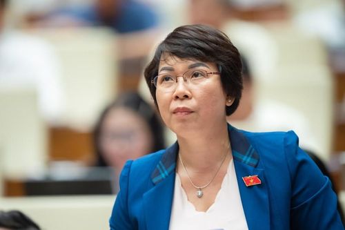 Đại biểu Quốc hội nêu trách nhiệm thanh, kiểm tra chậm đóng bảo hiểm xã hội?
