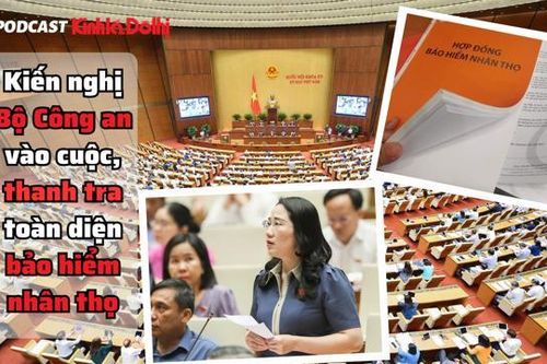 Kiến nghị Bộ Công an vào cuộc, thanh tra toàn diện bảo hiểm nhân thọ