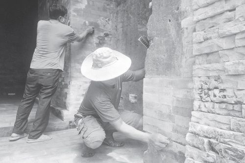 Tháp Chăm Khương Mỹ bị 'muối hóa', rêu mốc sau nửa năm trùng tu: Không thể xem thường hiện tượng rêu mốc tại tháp