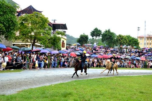 Tối 3/6, khai mạc Festival 'Cao nguyên trắng Bắc Hà'-2023