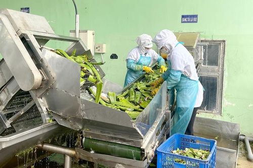Giảm thuế thu nhập doanh nghiệp để nuôi dưỡng nguồn thu
