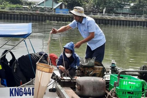 Cá chết ở làng bè Tân Mai: Lượng oxy hòa tan trong nước xuống thấp