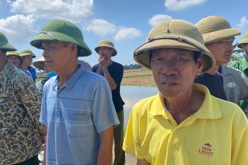Người dân xót xa với những 'cánh đồng ma'