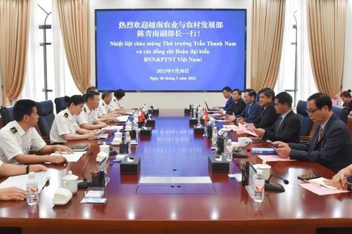Đề xuất mở rộng quy mô xuất nhập khẩu rau củ quả lên toàn bộ 9 cặp cửa khẩu giữa Việt Nam và Trung Quốc
