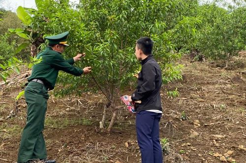 Mãi xứng danh là 'Bộ đội Cụ Hồ' nơi biên cương Pù Nhi
