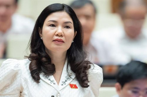 Đại biểu Quốc hội đưa giải pháp để hoàn thành mục tiêu xây dựng 1 triệu căn hộ nhà ở xã hội