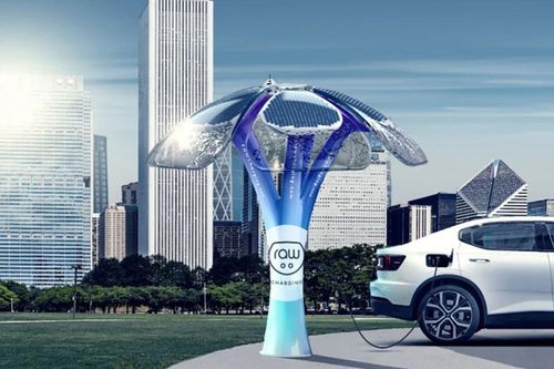 Sạc ô tô ngay dưới tán 'cây' năng lượng