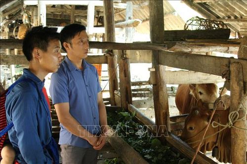 Tập trung nguồn lực hỗ trợ Hà Giang bứt phá