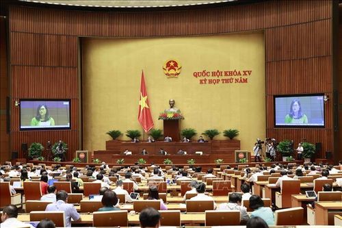 Cử tri An Giang đề nghị tiếp tục hỗ trợ vốn để doanh nghiệp phục hồi sản xuất
